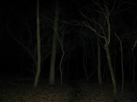 Chicago Ghost Hunters Group investigates Robinson Woods (122).JPG